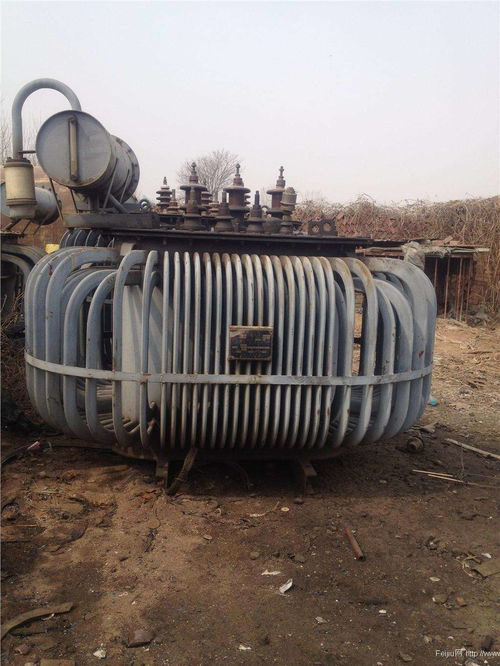 湖南省手表過期食品銷毀公司聯(lián)系人