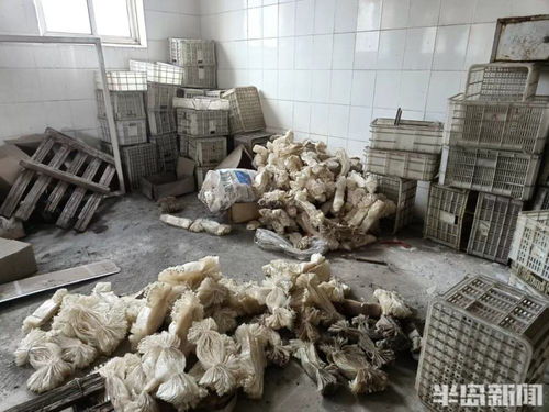 半島調查丨天花板坍塌 車間成廢墟 響當當的老字號竟變成了這樣 它還能再 香 嗎